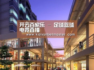 案例展示一
