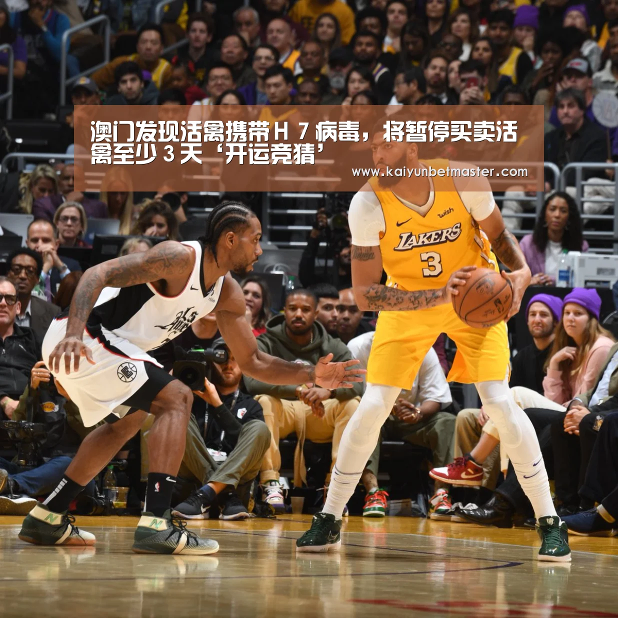 澳门发现活禽携带H7病毒,将暂停买卖活禽至少3天‘开运竞猜’(图3) 开运竞猜