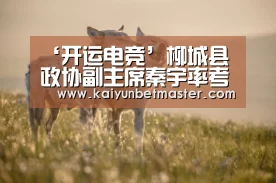 ‘开运电竞’柳城县政协副主席秦宇率考察团到我县考察(图3) 开运电竞