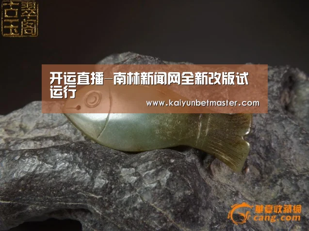 开运直播-南林新闻网全新改版试运行(图1) 开运电竞