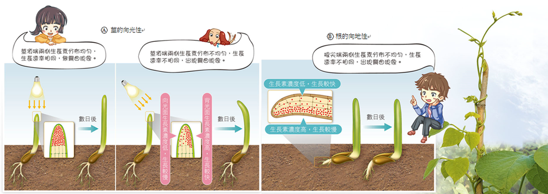 开运直播_人文院学生作品在第五届全国大学生广告艺术大赛中获三等奖(图2) 开运直播