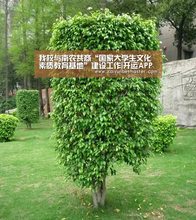 我校与南农共商“国家大学生文化素质教育基地”建设工作|开运APP(图1) 开运竞猜